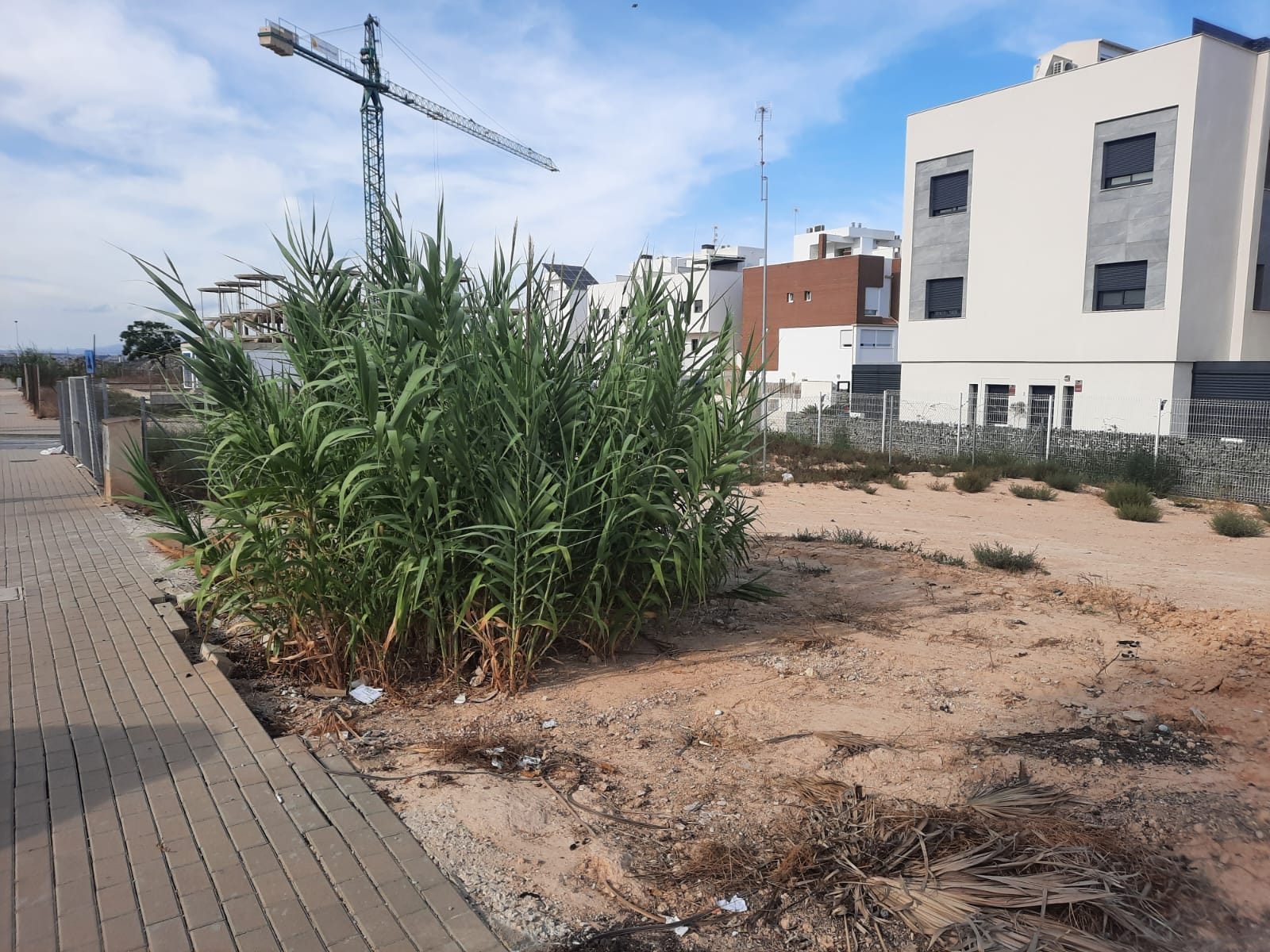 Solar edificable con buena orientación y excelentes posibilidades de diseño en una ubicación privilegiada. en Guardamar del Segura · Alacant/Alicante